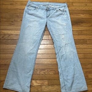 American Eagle Outfitters Light Blue Flare Jeans
